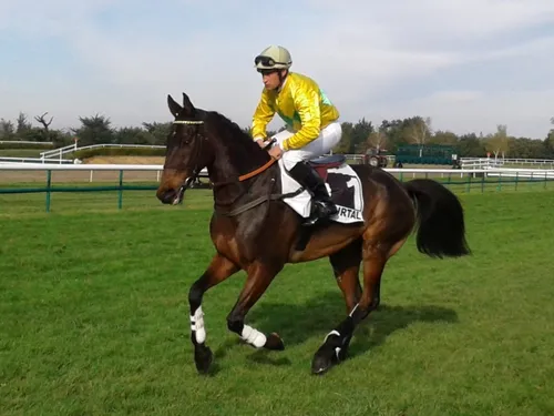 Hippisme : nos préférés pour ce dimanche 21 novembre